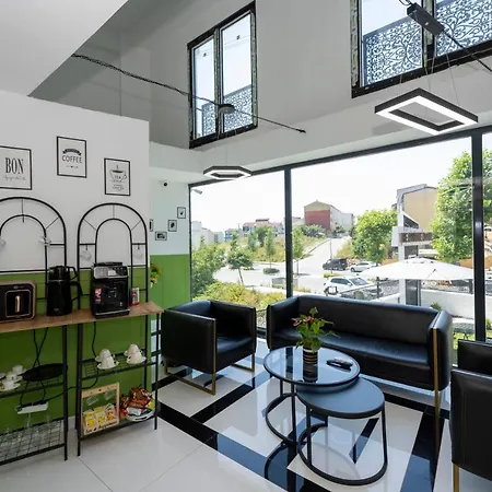 The Private Airport 3* Provincia di Istanbul